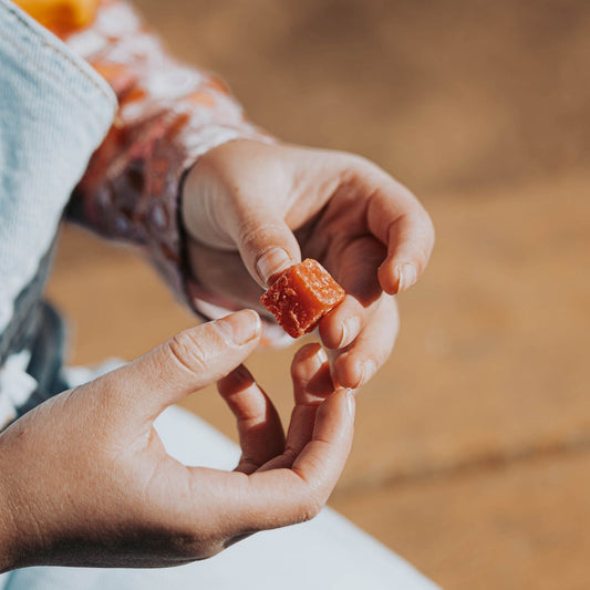 Bloody Shad Catfish Bait - Tanks Treasures