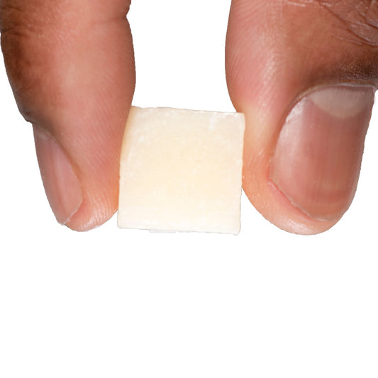 Skipjack Catfish Bait - Tanks Treasures