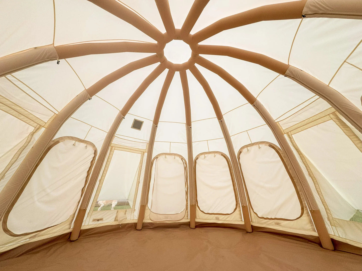 Jellyfish - Tanks Treasures