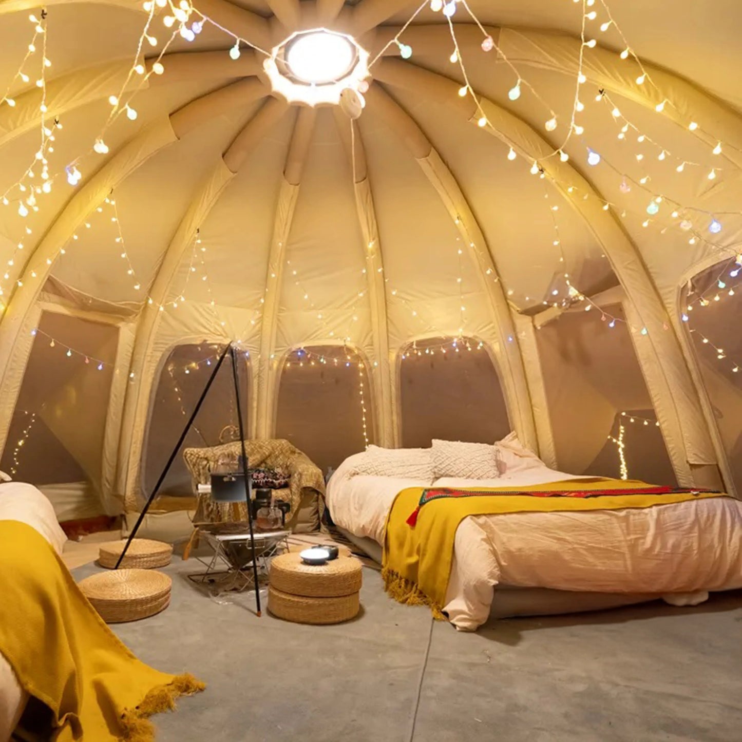 Jellyfish - Tanks Treasures