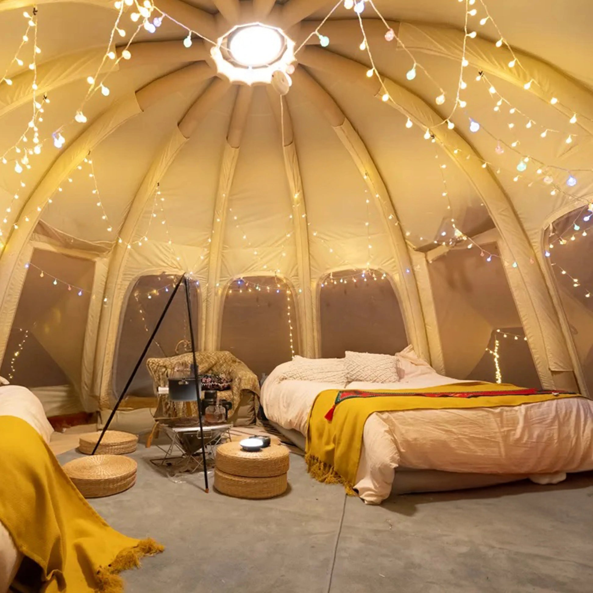 Jellyfish - Tanks Treasures