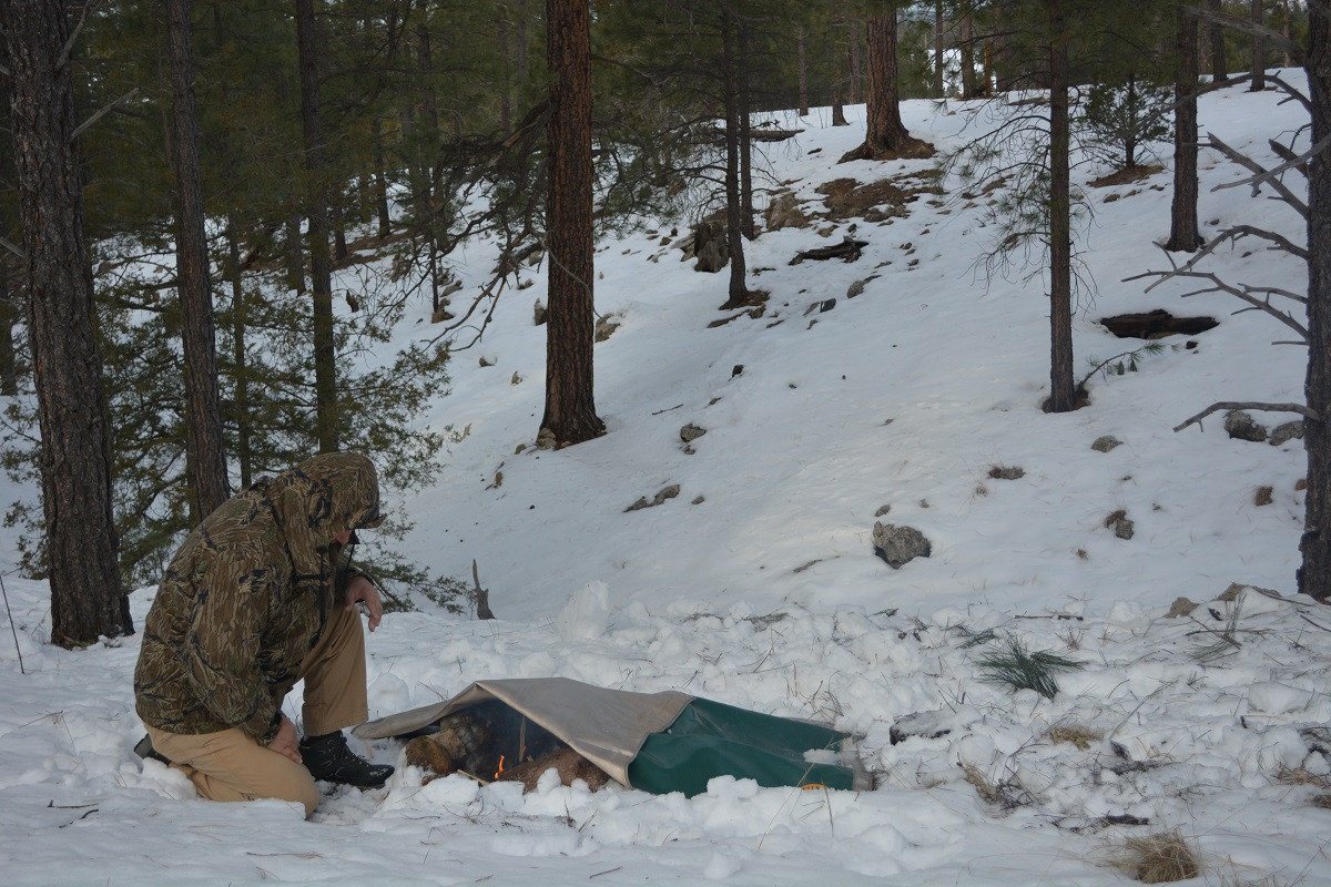 Campfire Defender - Tanks Treasures