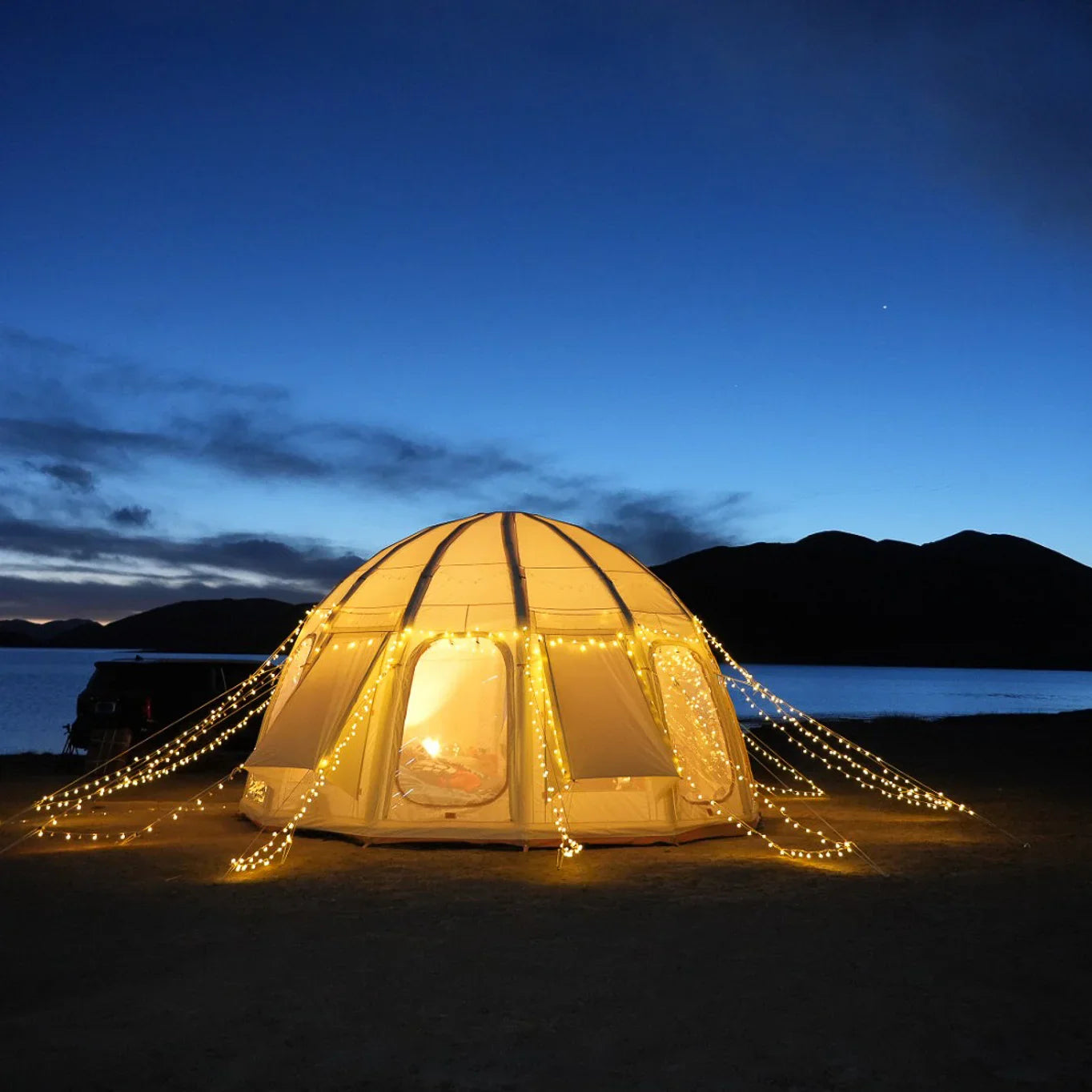 Jellyfish - Tanks Treasures