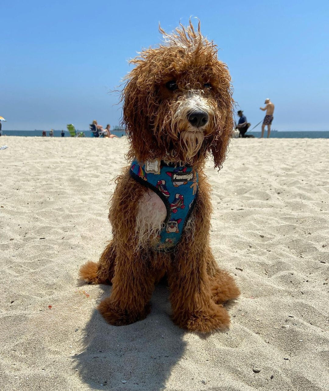 90s Baby Reversible Harness - Tanks Treasures