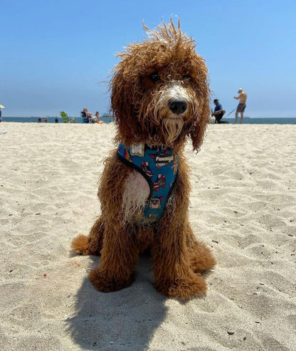 90s Baby Reversible Harness - Tanks Treasures