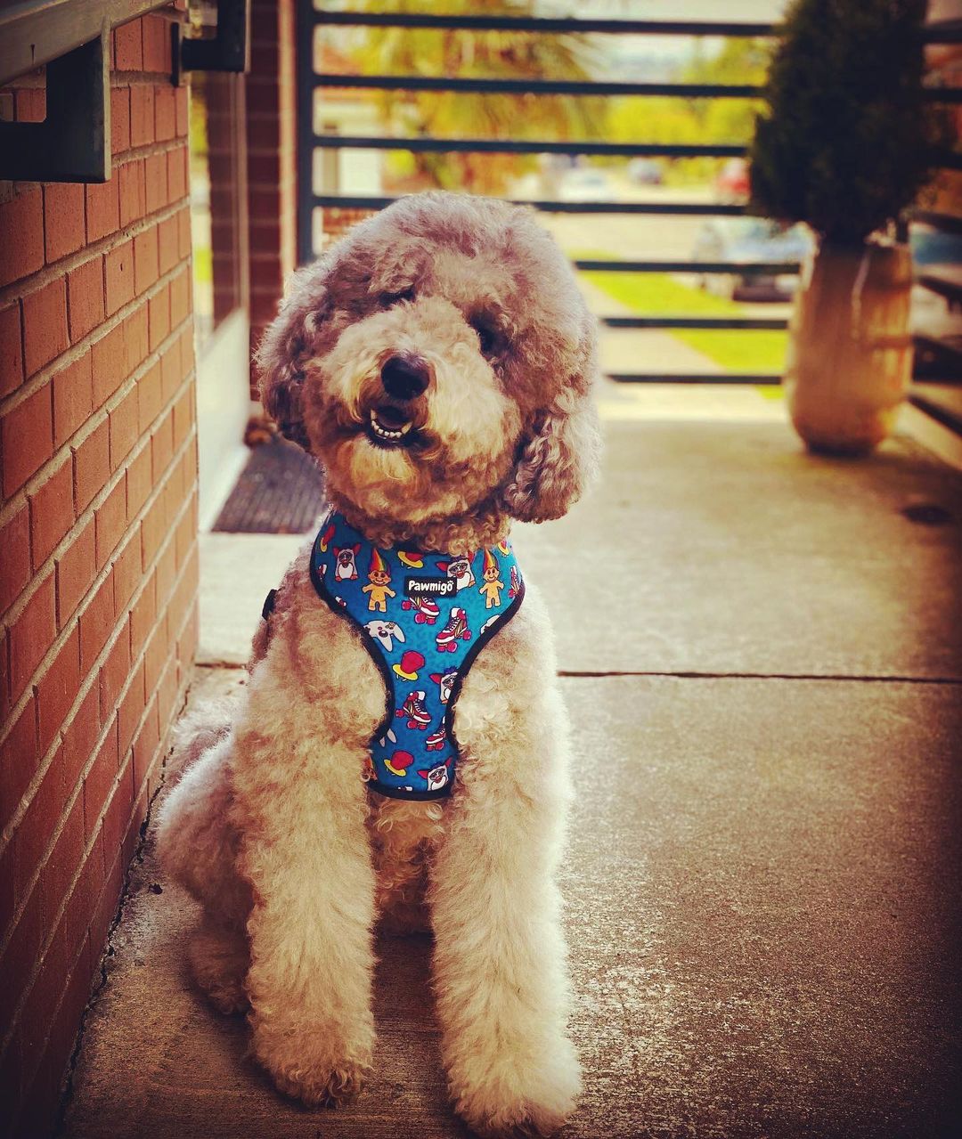 90s Baby Reversible Harness - Tanks Treasures