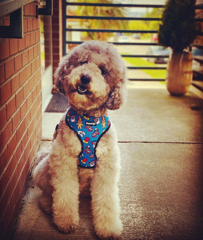 90s Baby Reversible Harness - Tanks Treasures