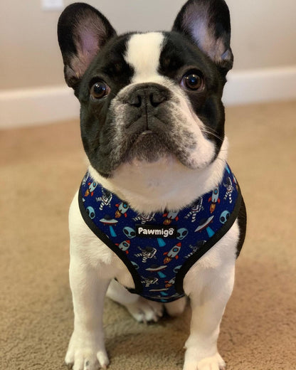 Extra-Furrestrial Reversible Harness - Tanks Treasures