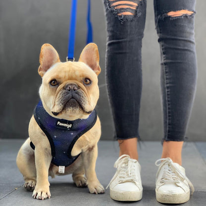 Extra-Furrestrial Reversible Harness - Tanks Treasures