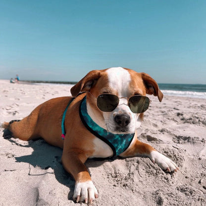 Tie-Dye For Reversible Harness - Tanks Treasures