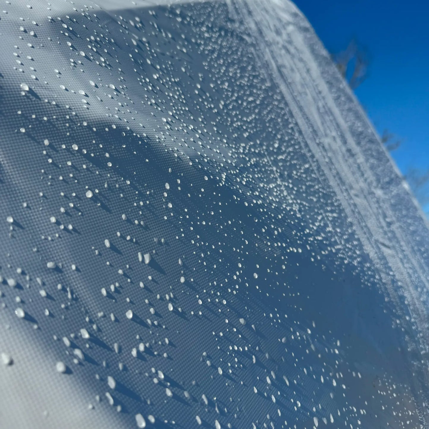 Wilderness Dome - Tanks Treasures