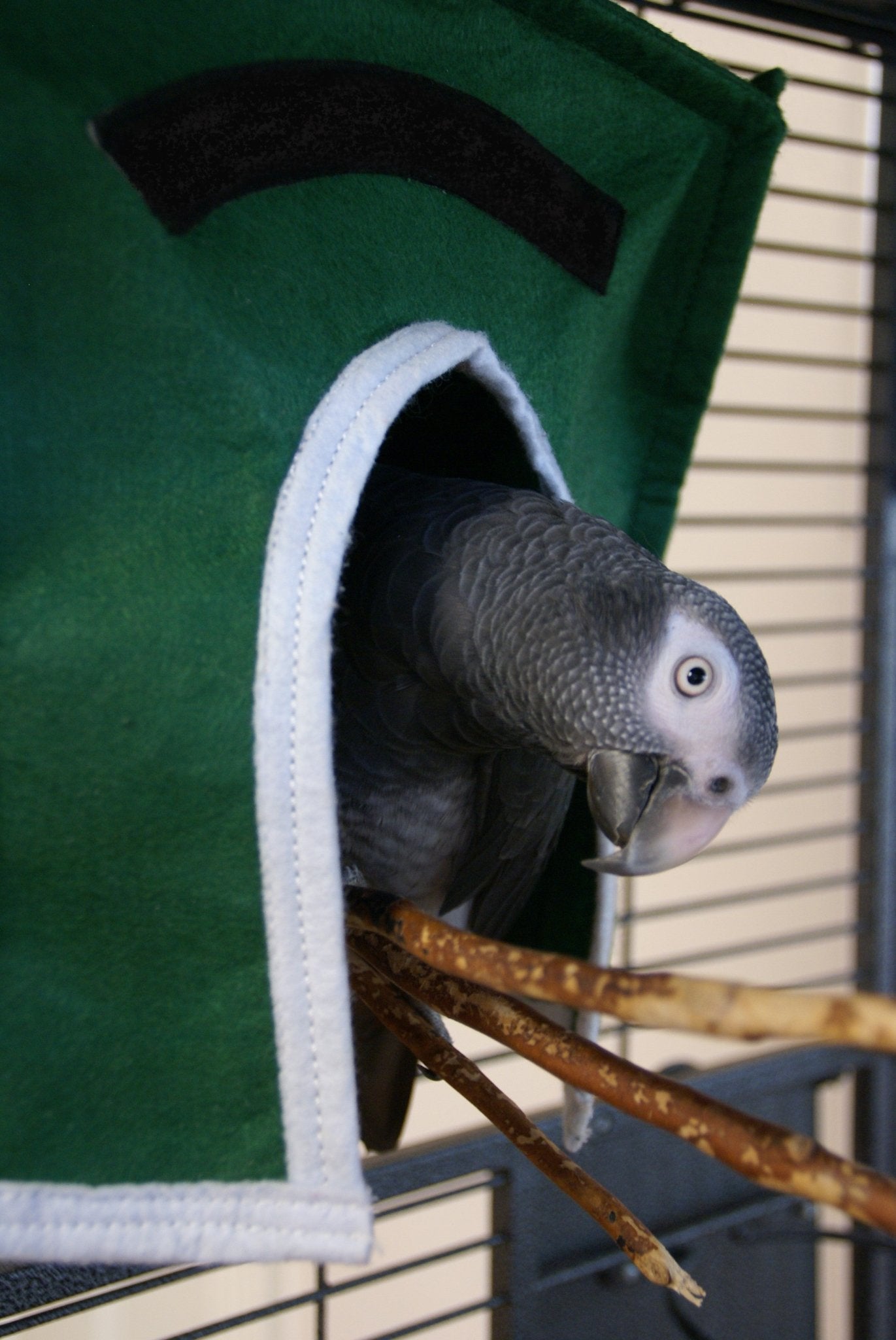 Avian Haven Hut for Pet Birds - Tanks Treasures