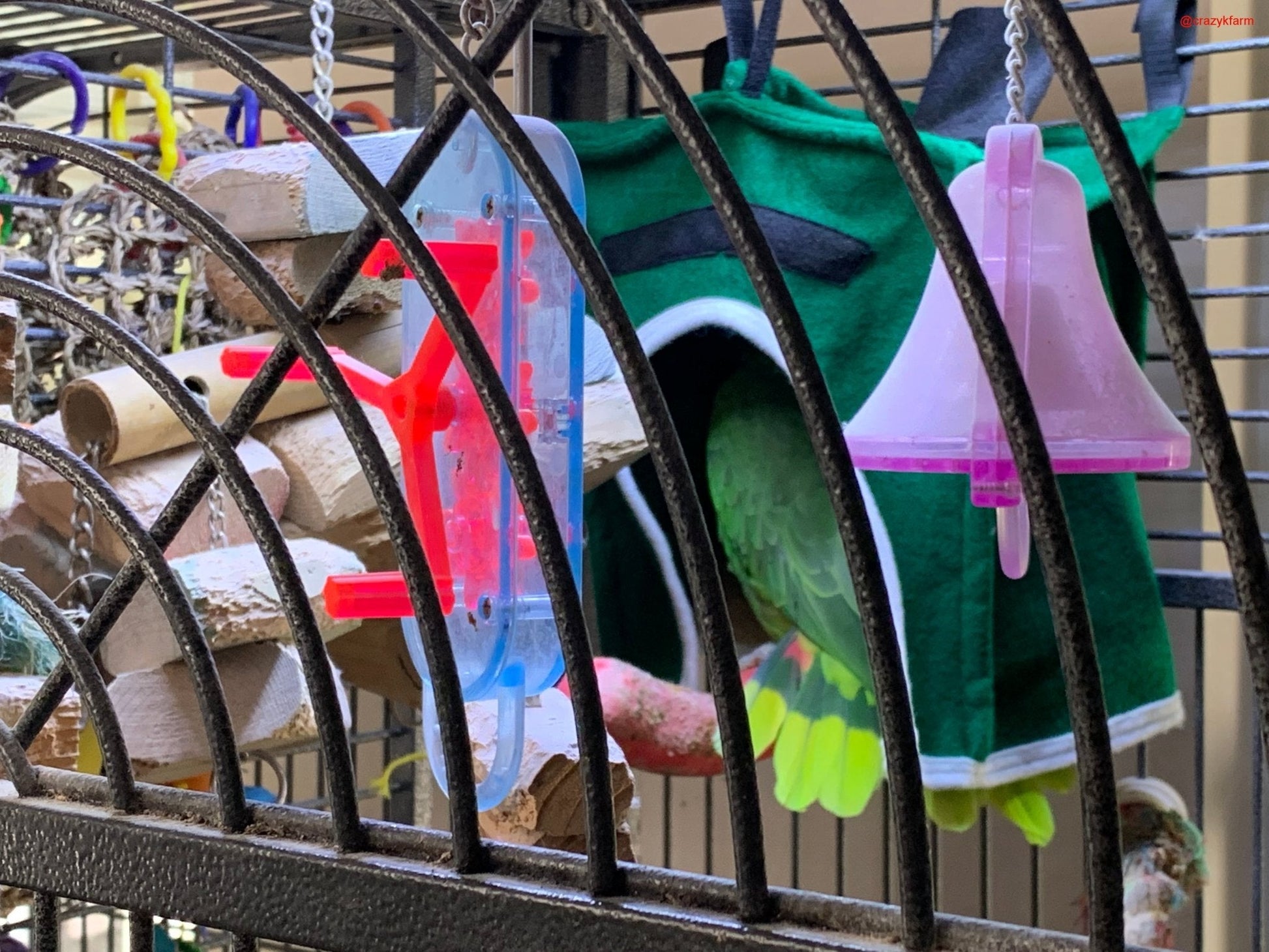 Avian Haven Hut for Pet Birds - Tanks Treasures