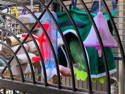 Avian Haven Hut for Pet Birds - Tanks Treasures