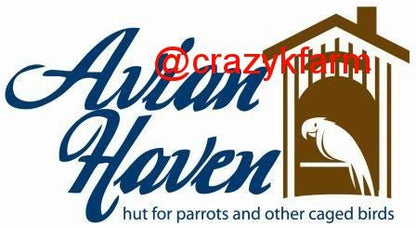 Avian Haven Hut for Pet Birds - Tanks Treasures