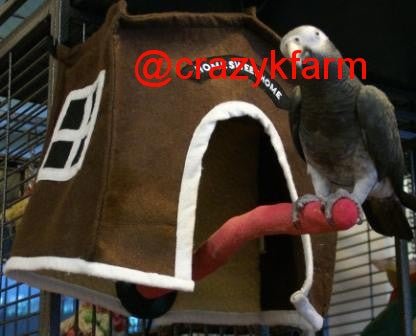 Avian Haven Hut for Pet Birds - Tanks Treasures