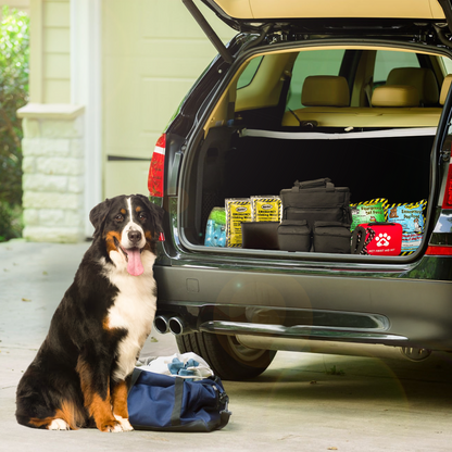 The Safe Pet Kit: Must-Have Pet Kit for Disaster Situations - Tanks Treasures