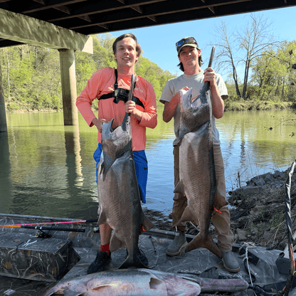 Tournament Series Pink Spinning Rod