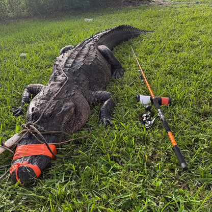 Tournament Series Spinning Rod